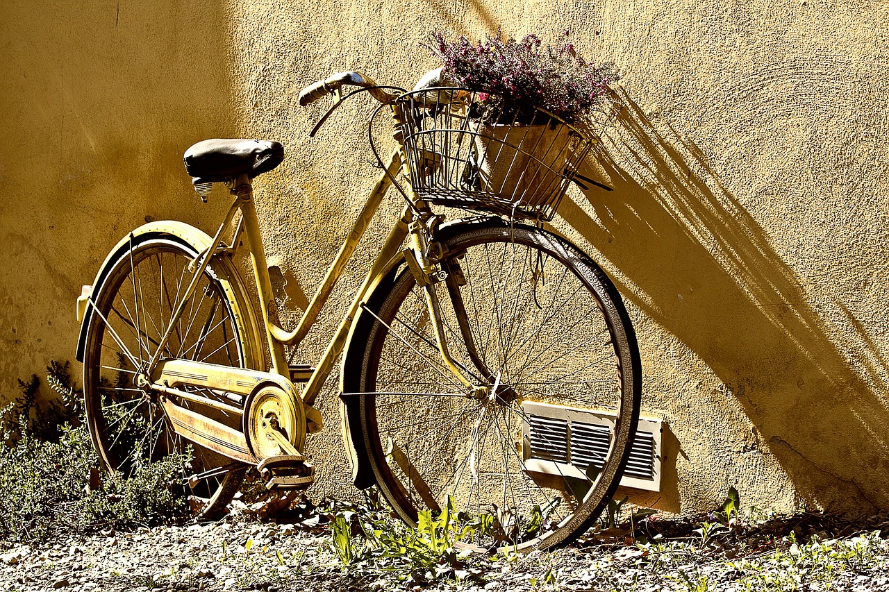fietsmetbloemen
